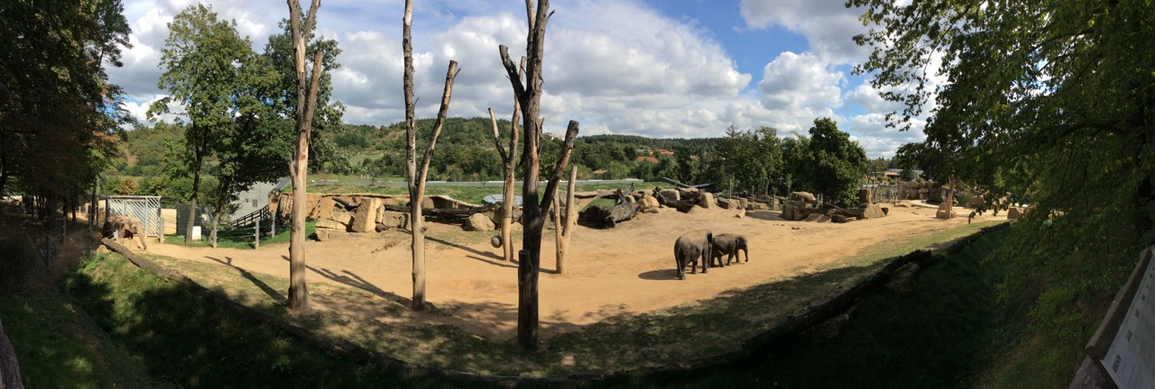 zoo praha
